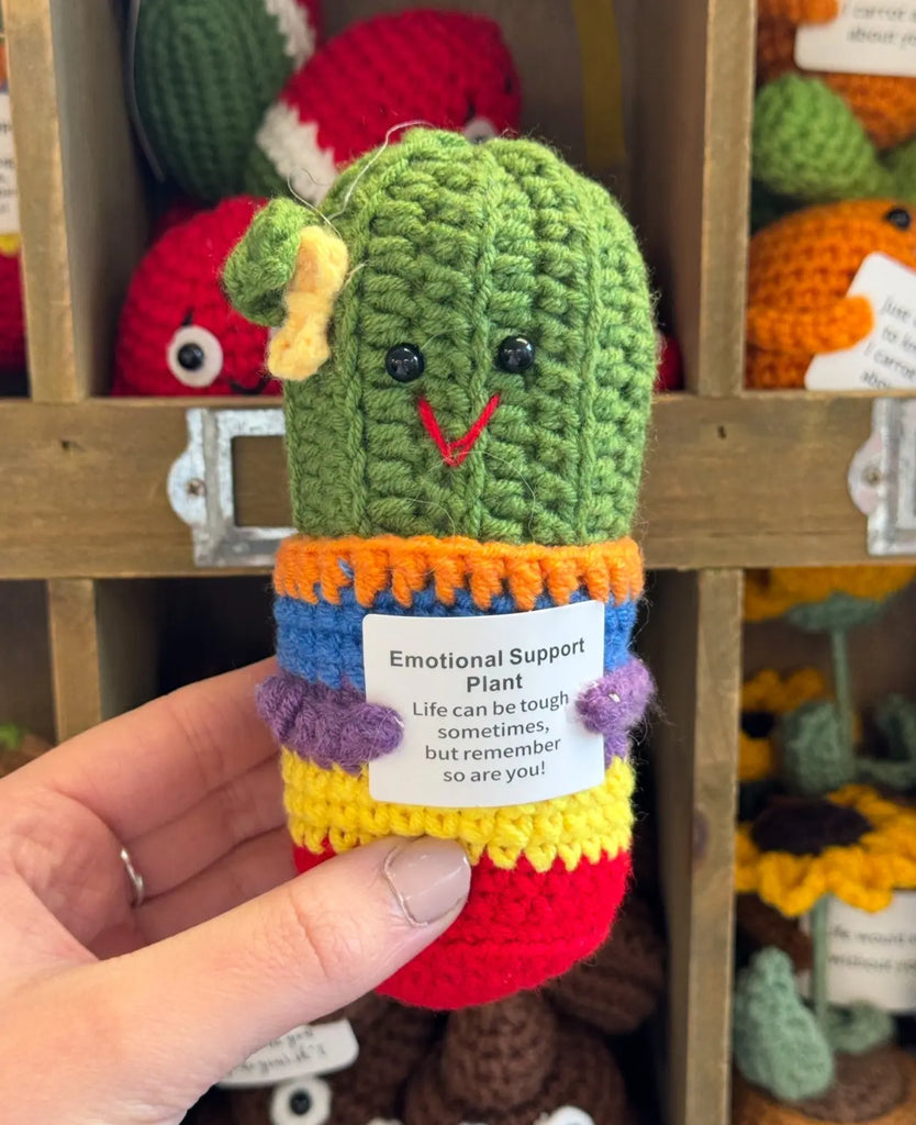 Crochet Pals - Rainbow Cactus Forget Me Not 247