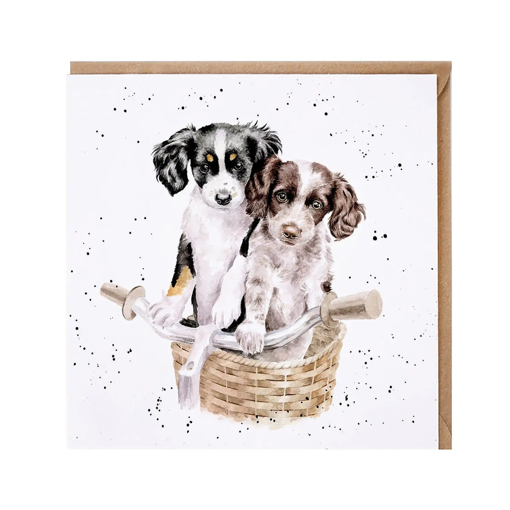 Wrendale Card - Paws And Pedals Wrendale