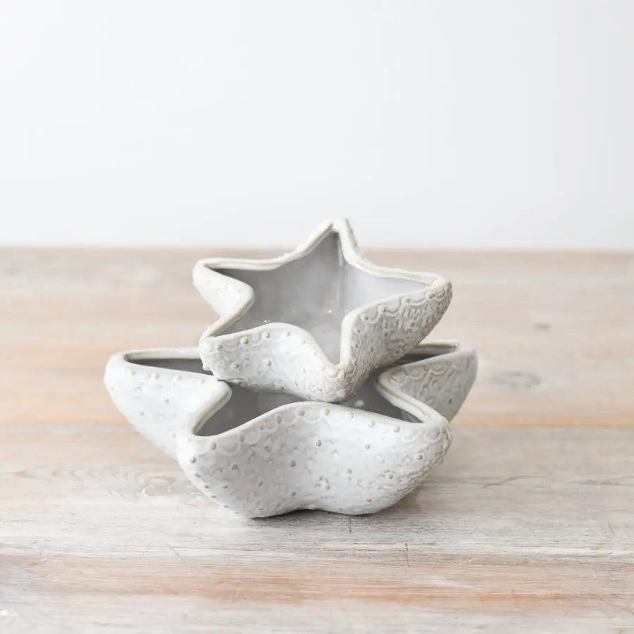 Glazed Starfish Pot Gainsborough Giftware