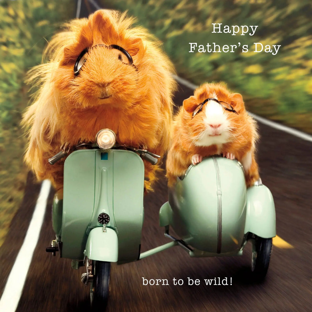 Father's Day - Born To Be Wild UK Greetings