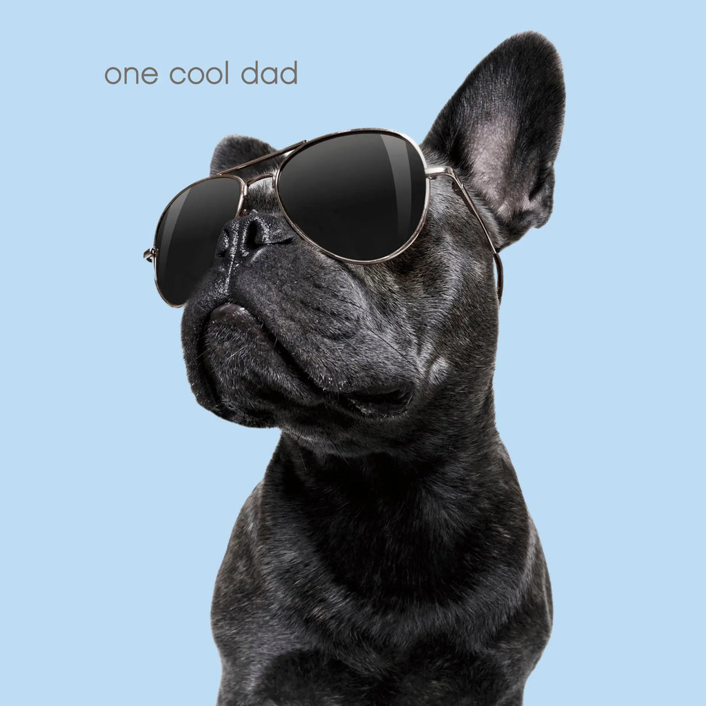 Father's Day - One Cool Dad UK Greetings