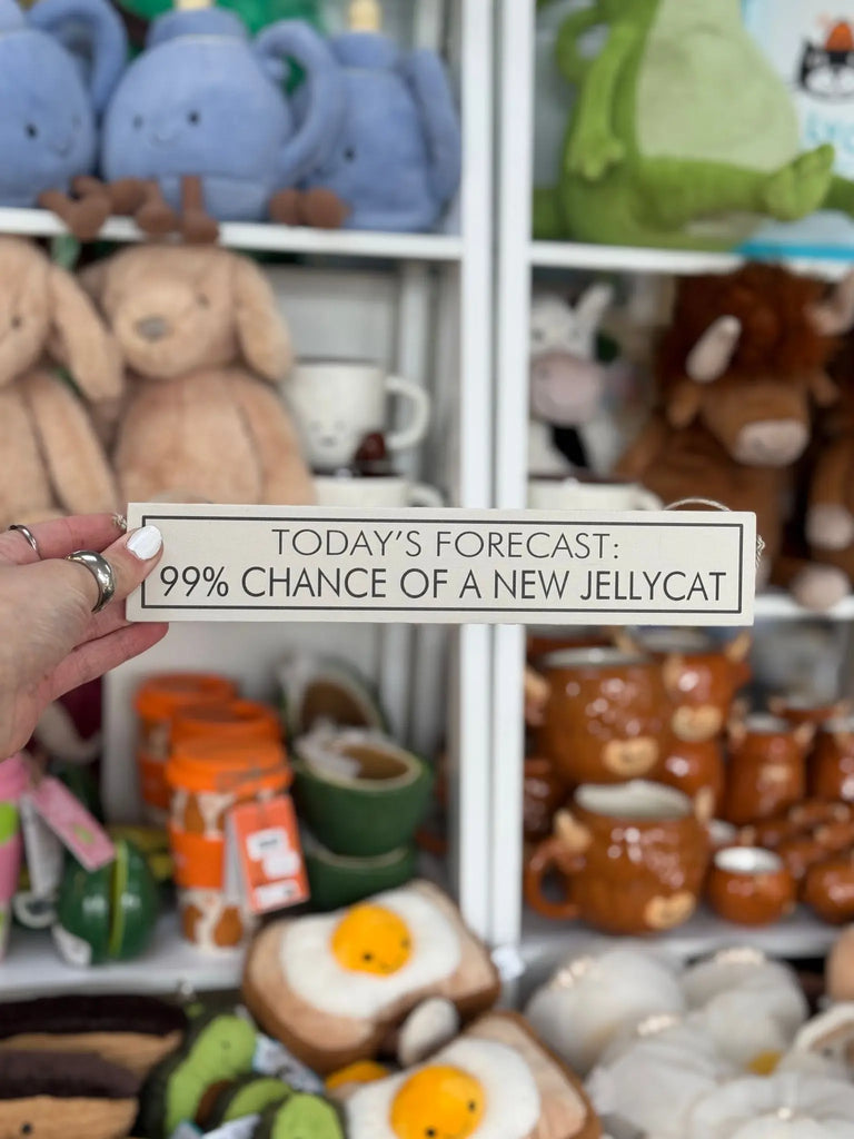 Wooden Sign - 99% Chance Of A New Jellycat Wit & Wisdom