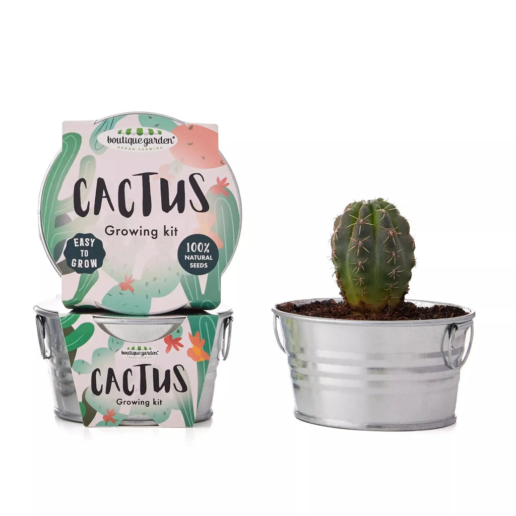 Boutique Garden Pastel Pot - Cactus Widdop & Co