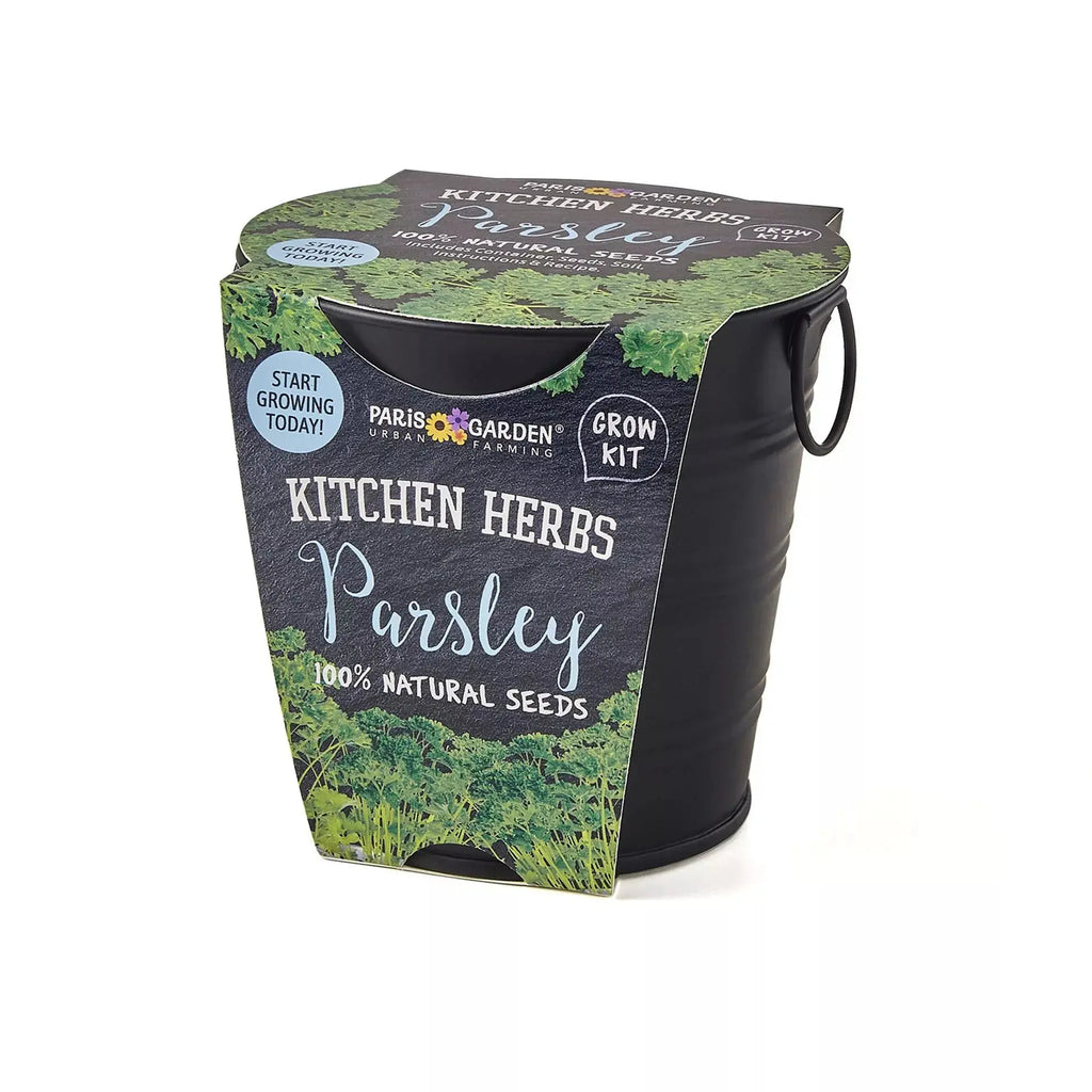 Boutique Garden Black Pot - Parsley Widdop & Co