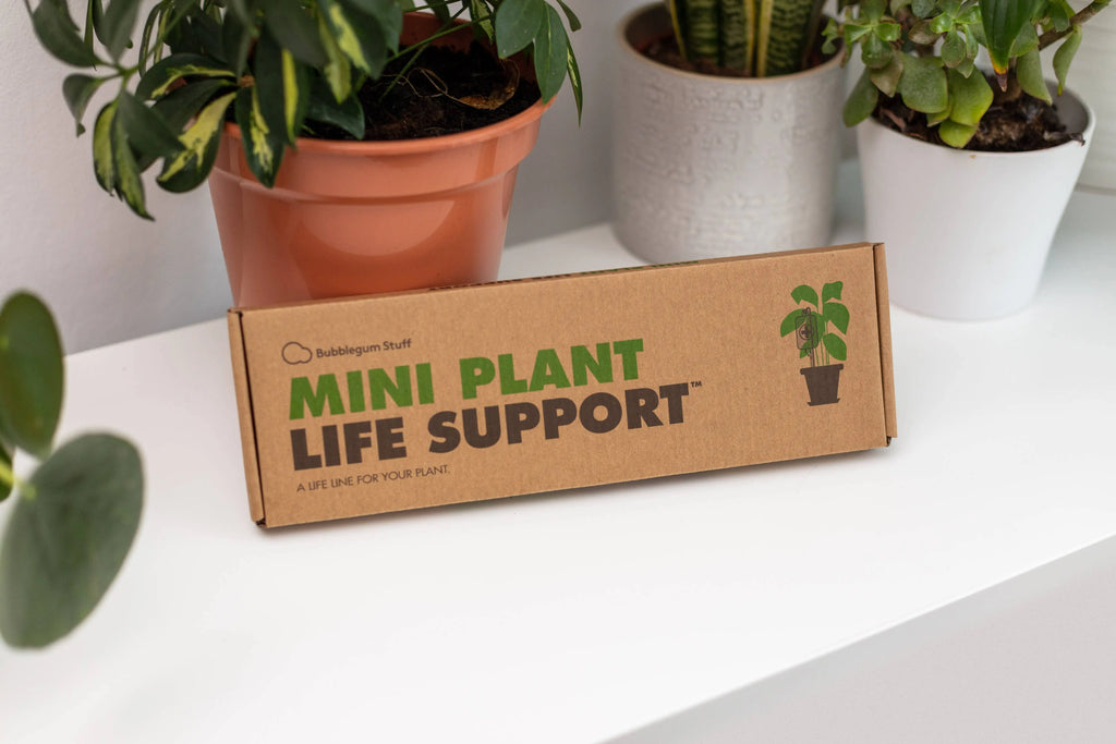 Mini Plant Life Support Watering Device Bubblegum Stuff UK