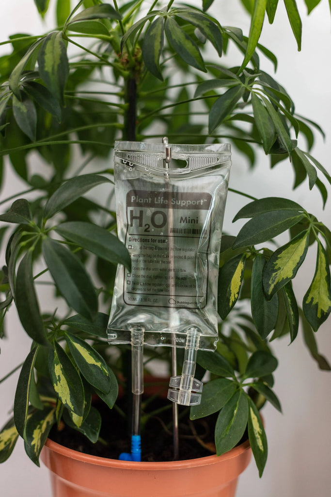 Mini Plant Life Support Watering Device Bubblegum Stuff UK